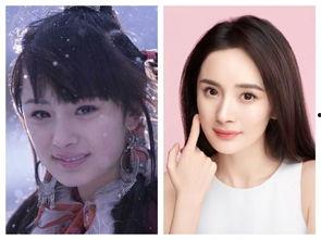 为什么现在明星网红化了,明星网红化现象背后的社会趋势解析