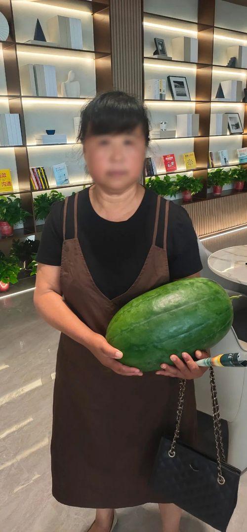 今日北京大瓜,揭秘今日北京大瓜背后的真相