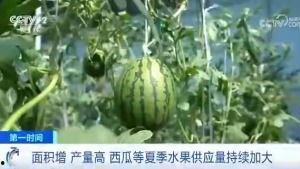 北京朝阳吃瓜群众今日吃瓜,今日吃瓜群众热议焦点