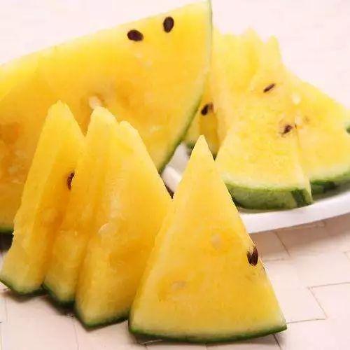 今日吃什么瓜最好吃呢,探寻最佳“瓜”味时光