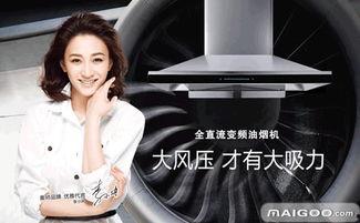 明星网红代言赌场叫什么,赌场魅力无限——揭秘热门代言背后的故事”