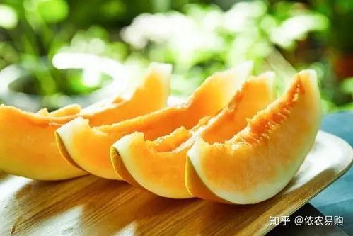 今日午餐蜜瓜好吃吗,甜蜜滋味，回味无穷