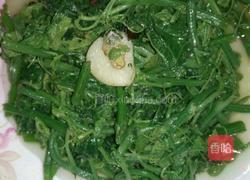 今日洋瓜尖价格,市场行情一览
