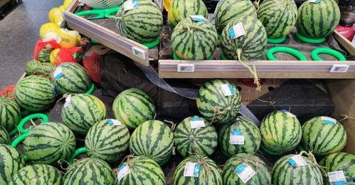 今日的瓜价多少一斤,XX元/斤，畅享夏日清凉佳品