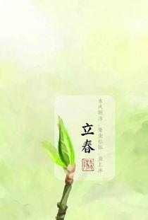 今日立春吃瓜视频下载,跟随视频一起探索传统美食的魅力