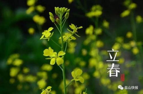 今日立春吃瓜视频下载,跟随视频一起探索传统美食的魅力