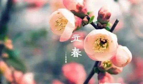 今日立春吃瓜视频下载,跟随视频一起探索传统美食的魅力