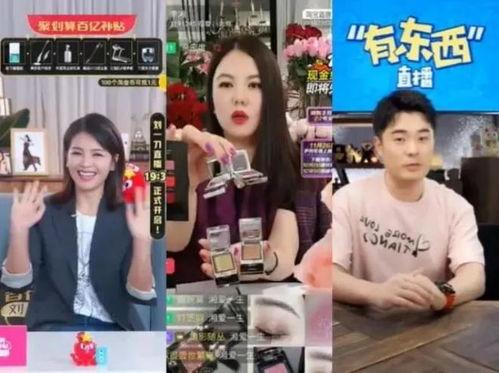 网红大明星网文剧情,大明星的逆袭之路