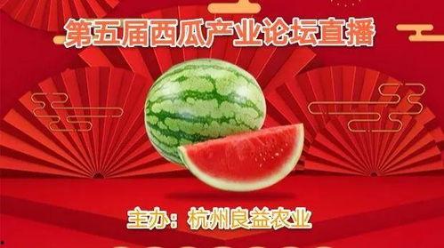 今日大瓜第九集创意短片,揭秘幕后真相，剧情反转再反转！