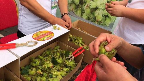 17c今日大瓜,揭秘娱乐圈最新热点事件