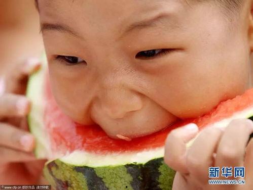 吃瓜比赛表情包动态,吃瓜比赛表情包动态，笑料百出！